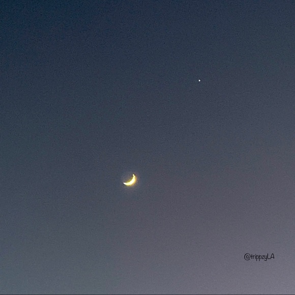 Meet your Posher, Marley 🌹 - Picture 3 of 12